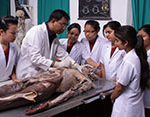 MBBS in Nepal