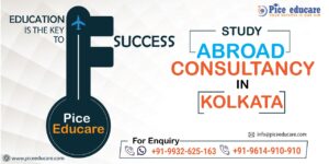 Study MBBS Abroad Consultancy