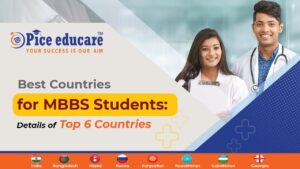 what are the best countries to pursue MBBS ?